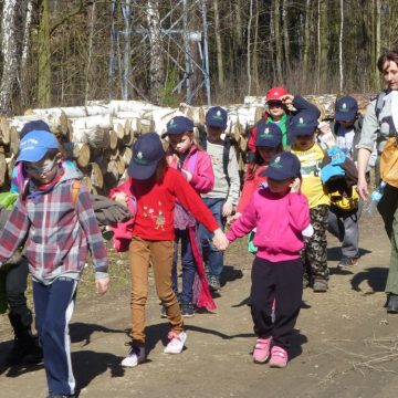 XIX Rajd Przebiśniegów 2014